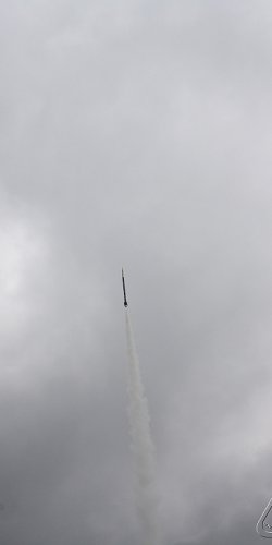 2013 Svojek Mirek Topinka